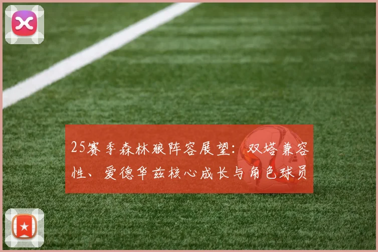 25赛季森林狼阵容展望:双塔兼容性、爱德华兹核心成长与角色球员关键作用